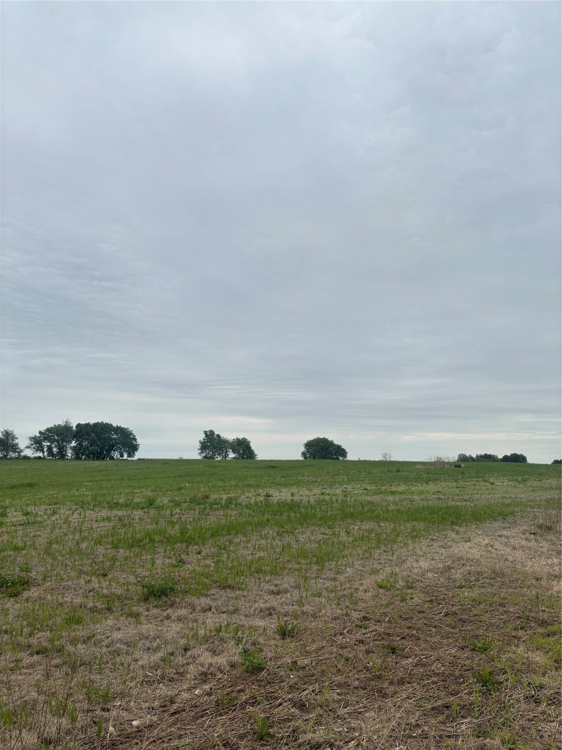 Lot 9 Warren Wonder Estates, Indianola, Iowa image 3