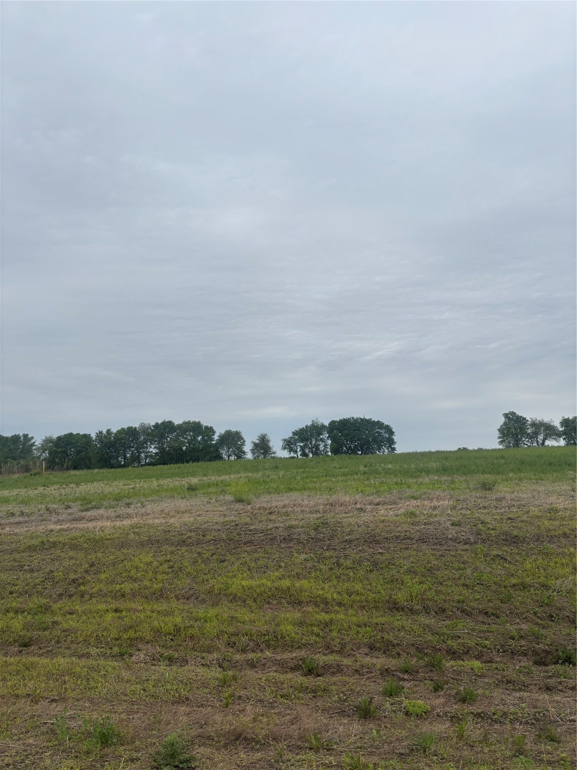 Lot 9 Warren Wonder Estates, Indianola, Iowa image 5