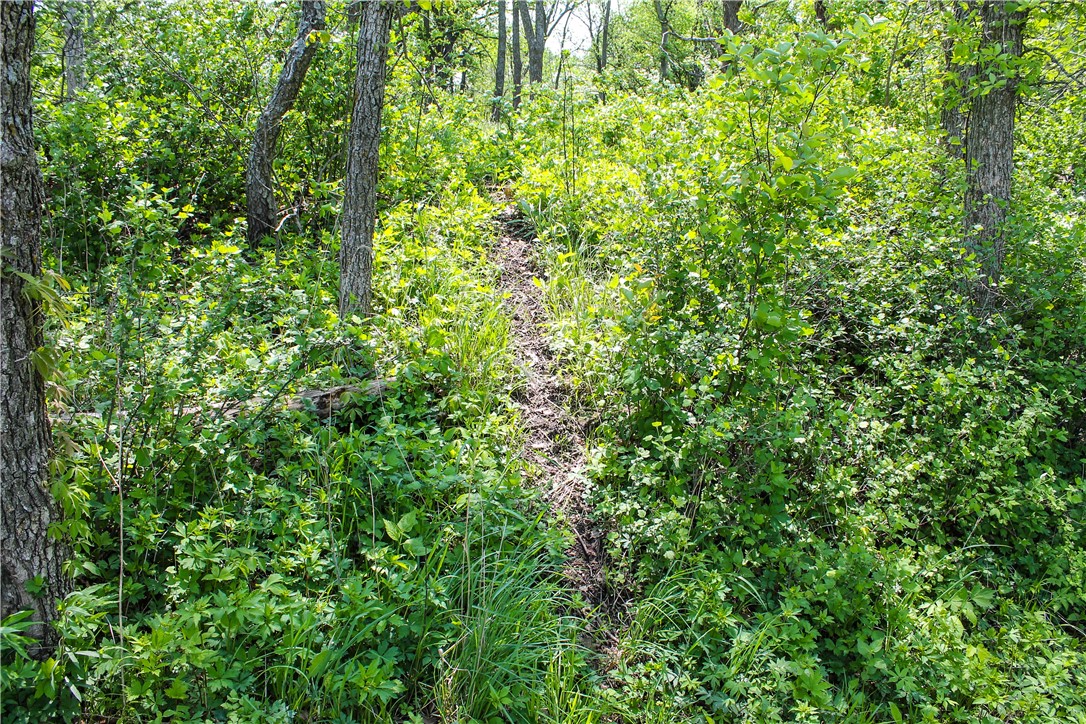 000 Tunnel Mill Road, Webster City, Iowa image 26