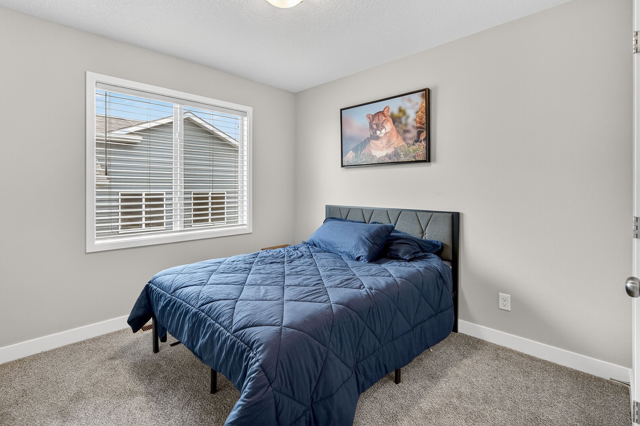 113 S Walnut Drive