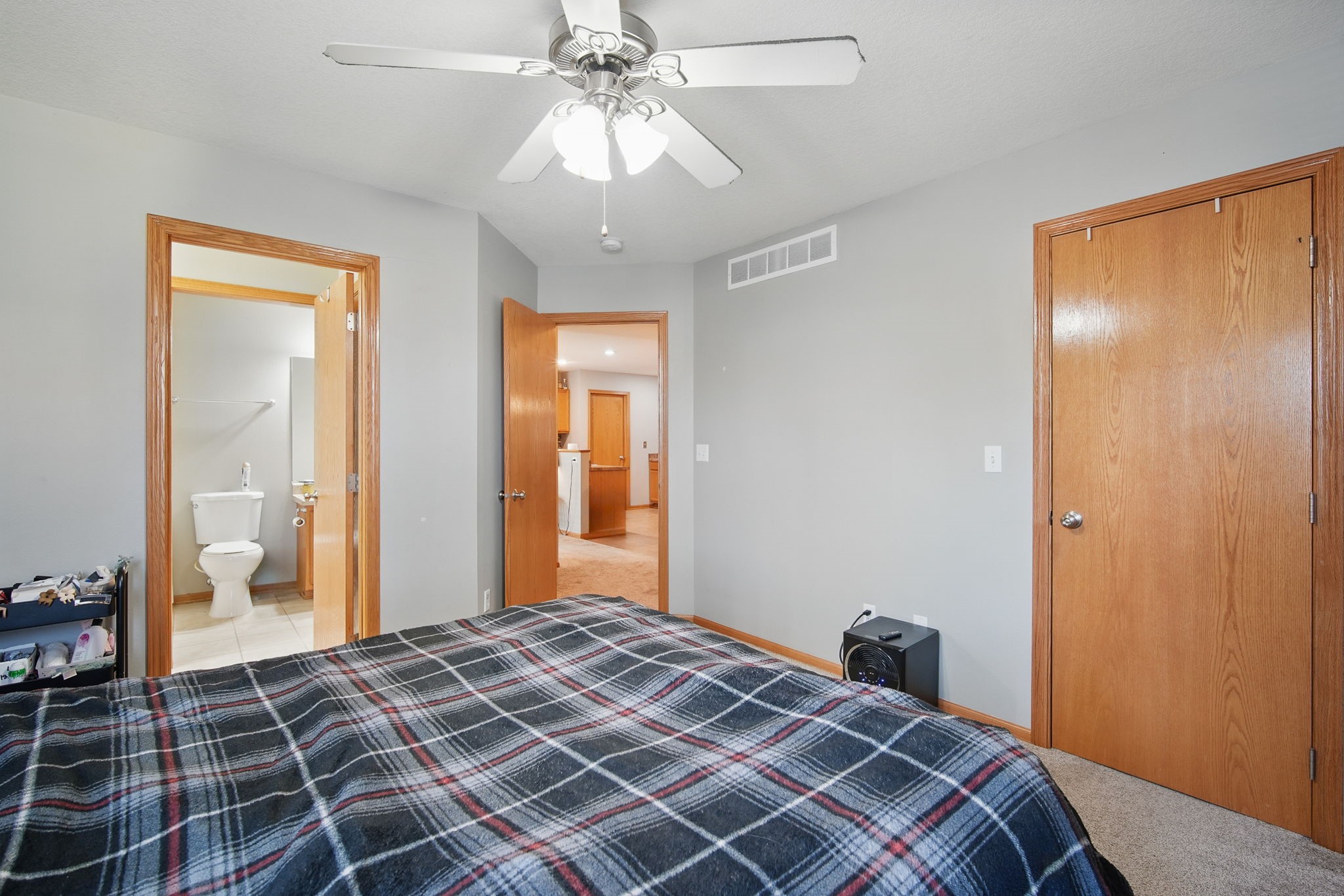532 SW 46th Street, Ankeny, Iowa image 11