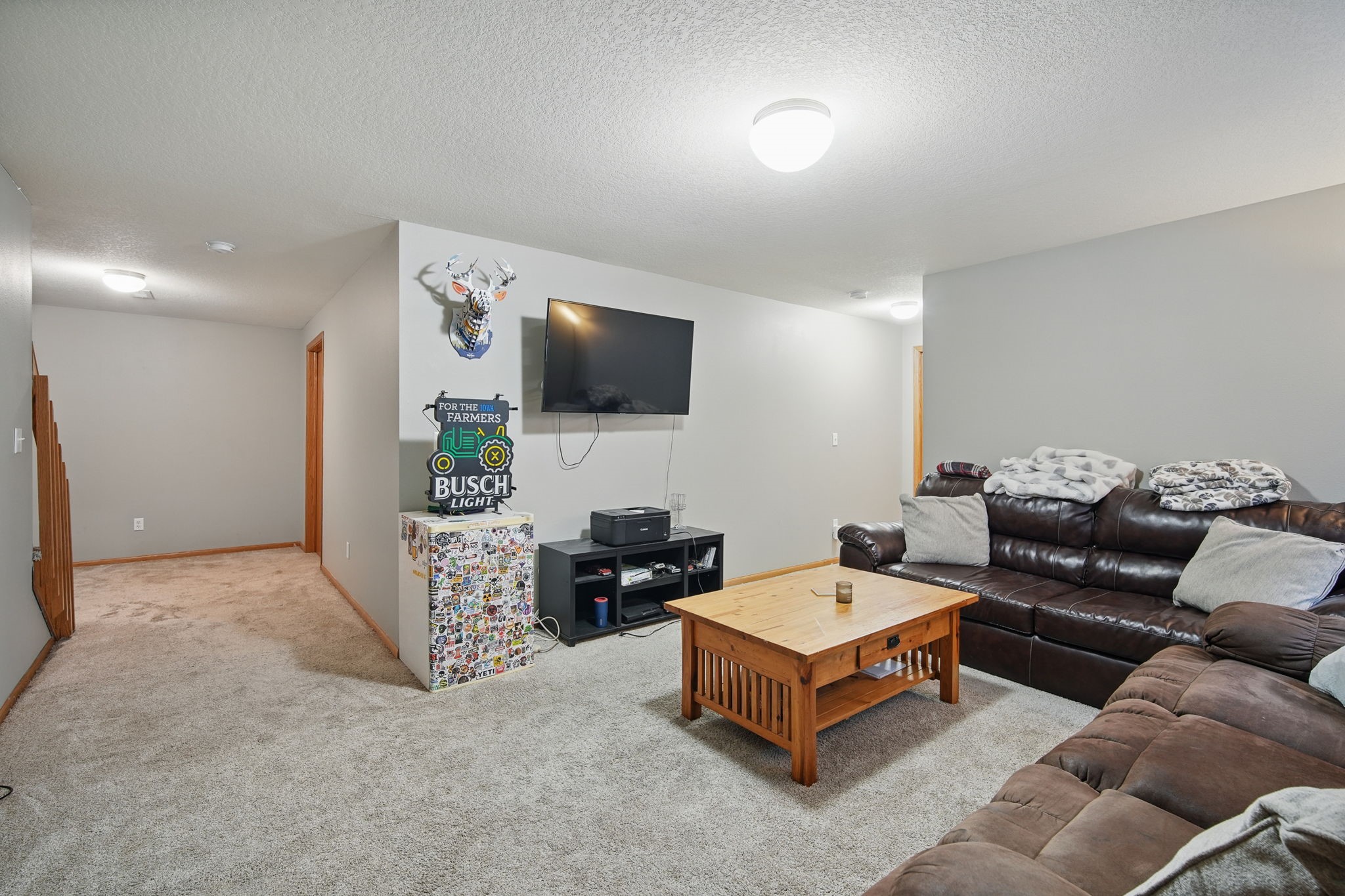 532 SW 46th Street, Ankeny, Iowa image 17