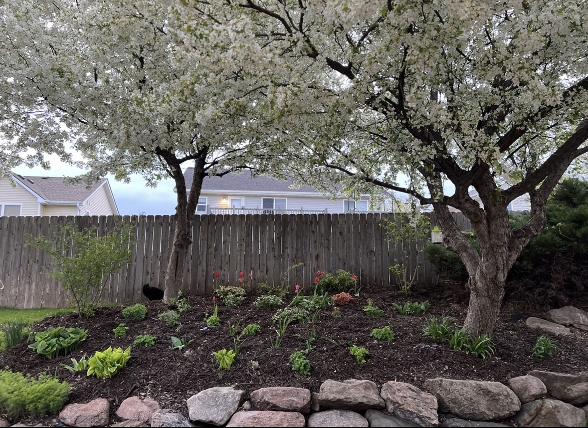 4009 NE Tulip Lane, Ankeny, Iowa image 22