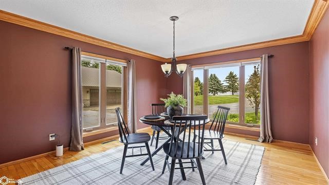 16763 290th Street, Mason City, Iowa image 12