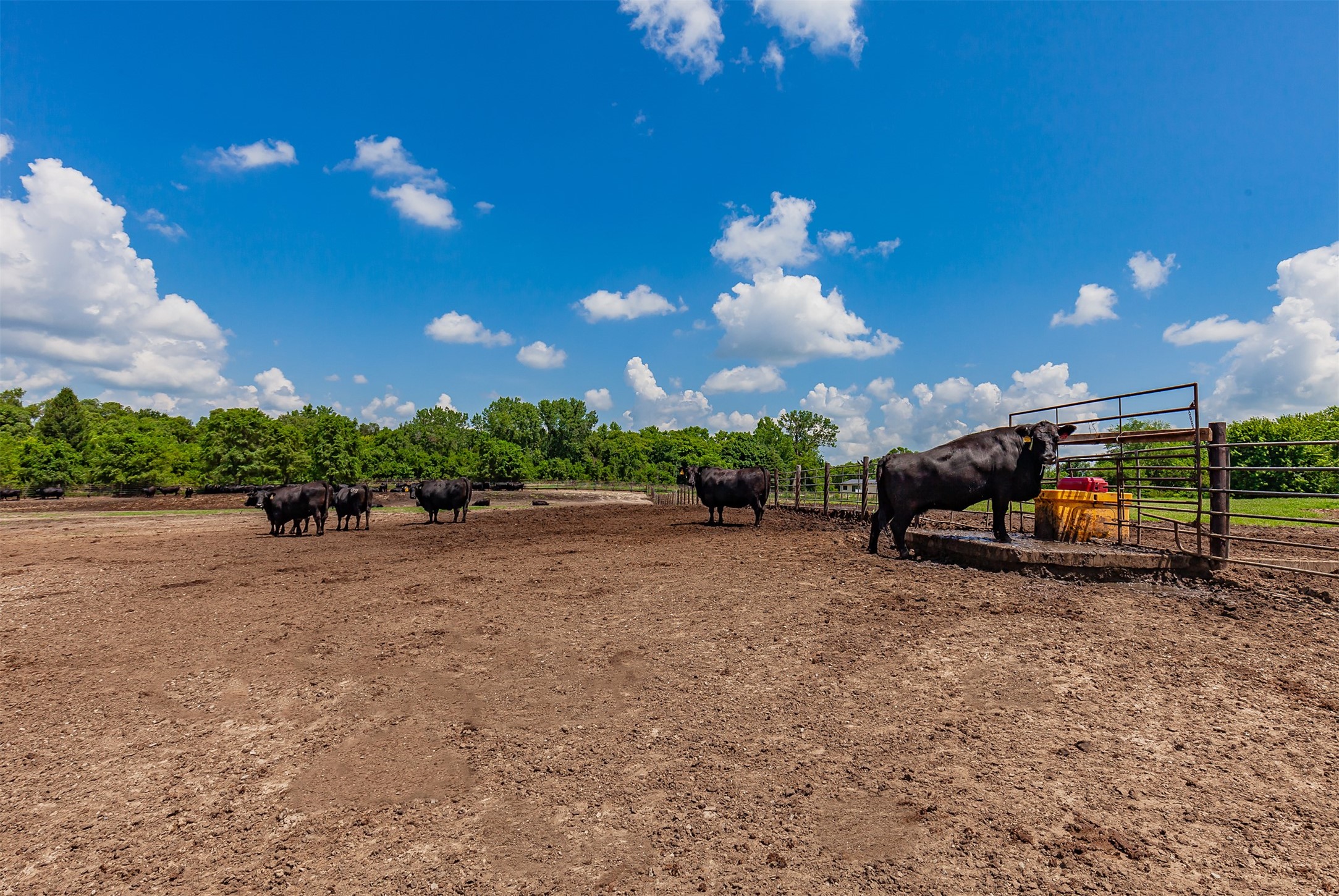 25595 Sand Hill Trail