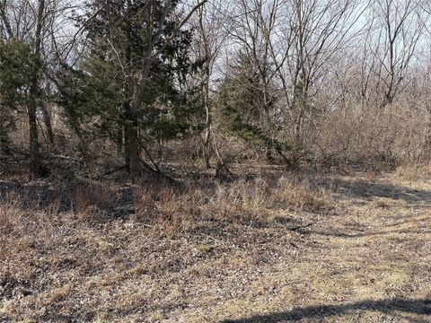 Vacant Land For Sale - 4438 Leo Drive<br/> Guthrie County, Panora, IA 50216