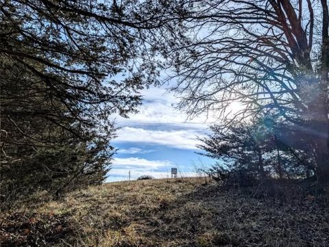 Vacant Land For Sale - 1775 Doyle Street<br/> Osceola, IA 50213