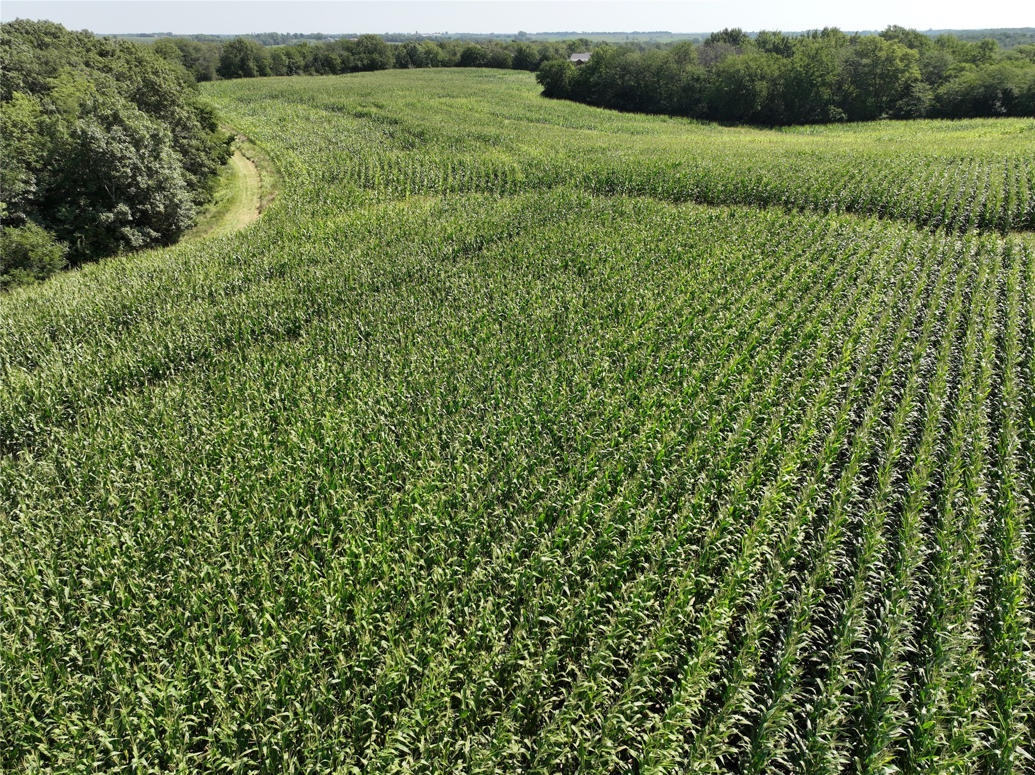 150th Avenue, Derby, Iowa image 9