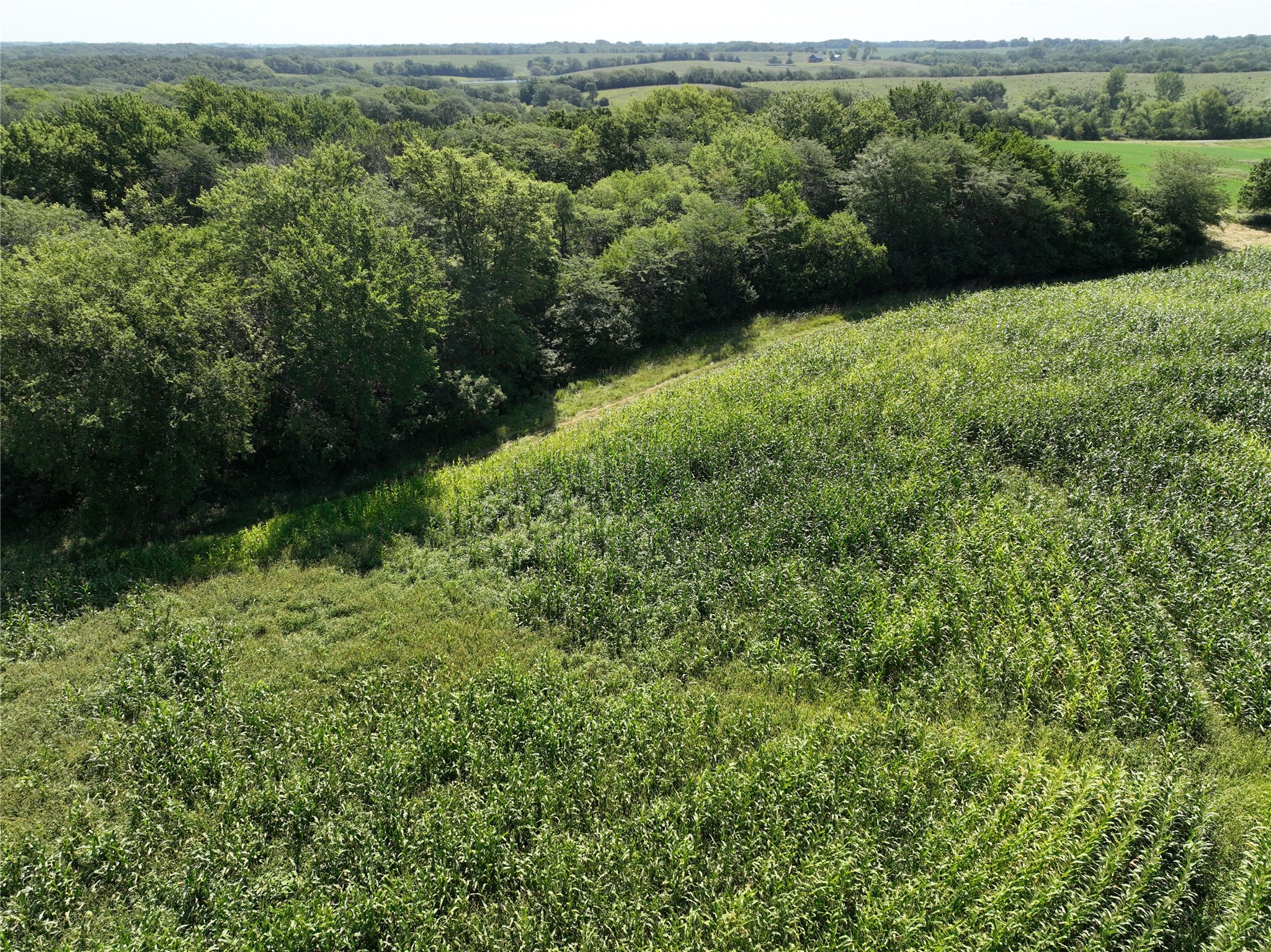 150th Avenue, Derby, Iowa image 8