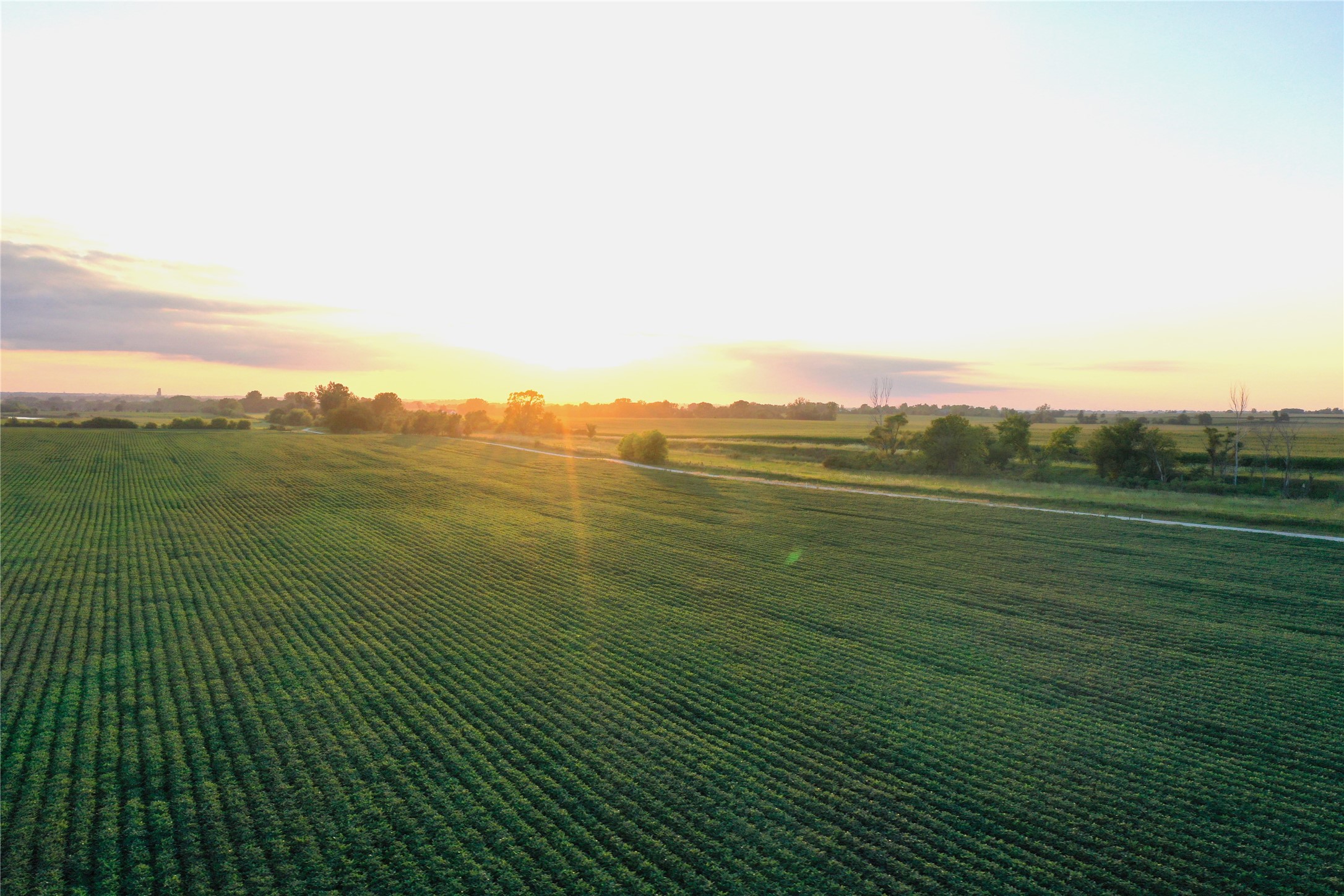 Lot 1 130th Street, Woodward, Iowa image 4