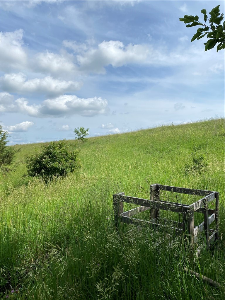 Lot 2 210th Avenue, Milo, Iowa image 17