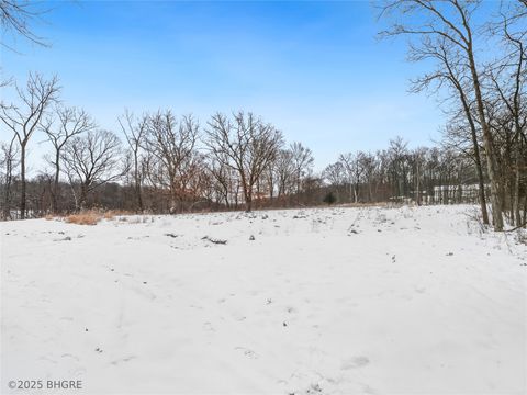 Vacant Land For Sale - 1260 BLK 252nd Lane<br/> Boone, IA 50036