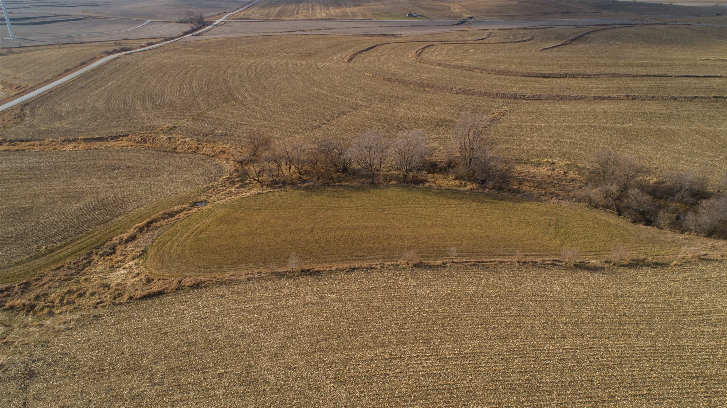 000 140th Street, Stuart, Iowa image 5