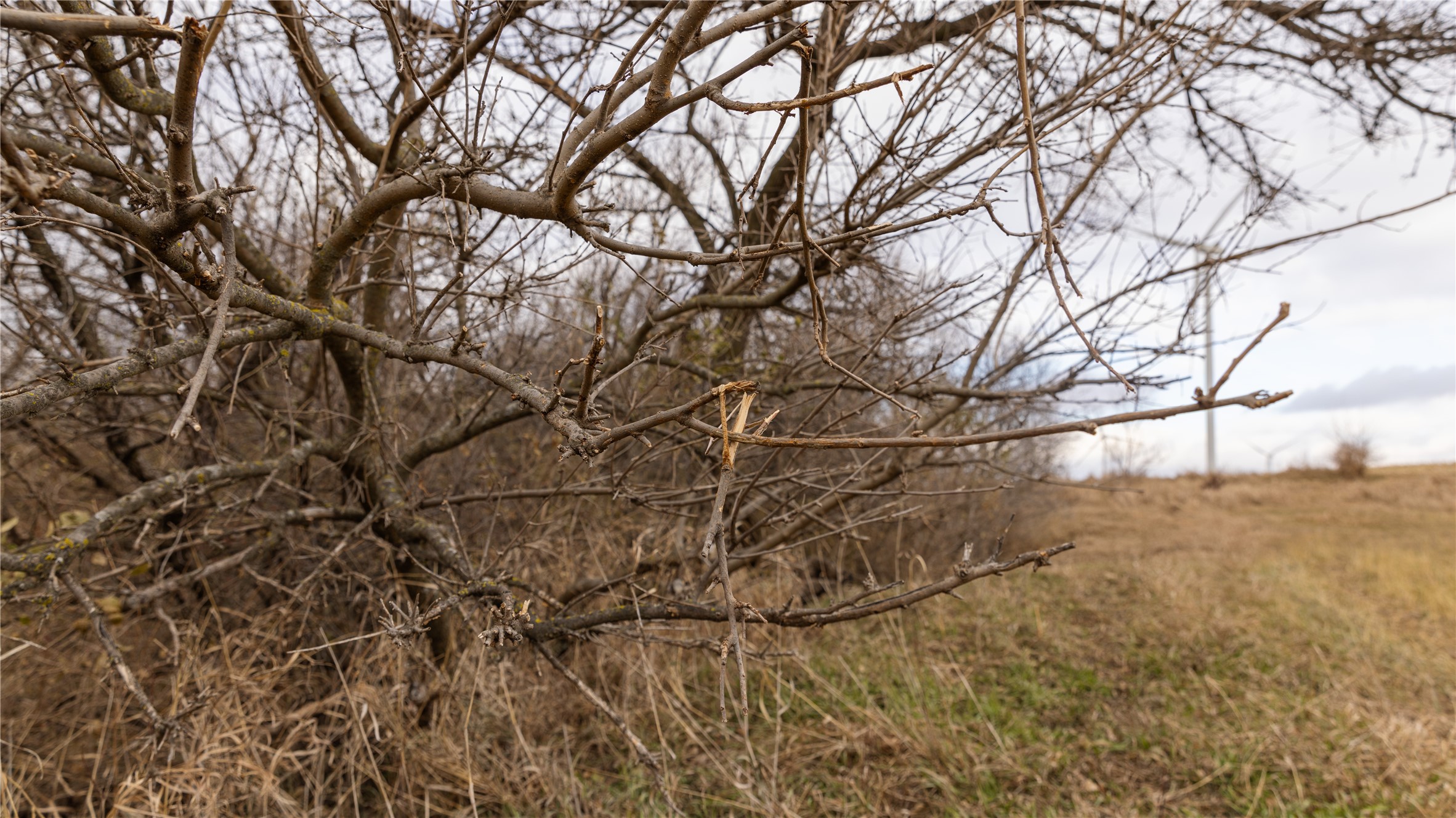 000 140th Street, Stuart, Iowa image 32