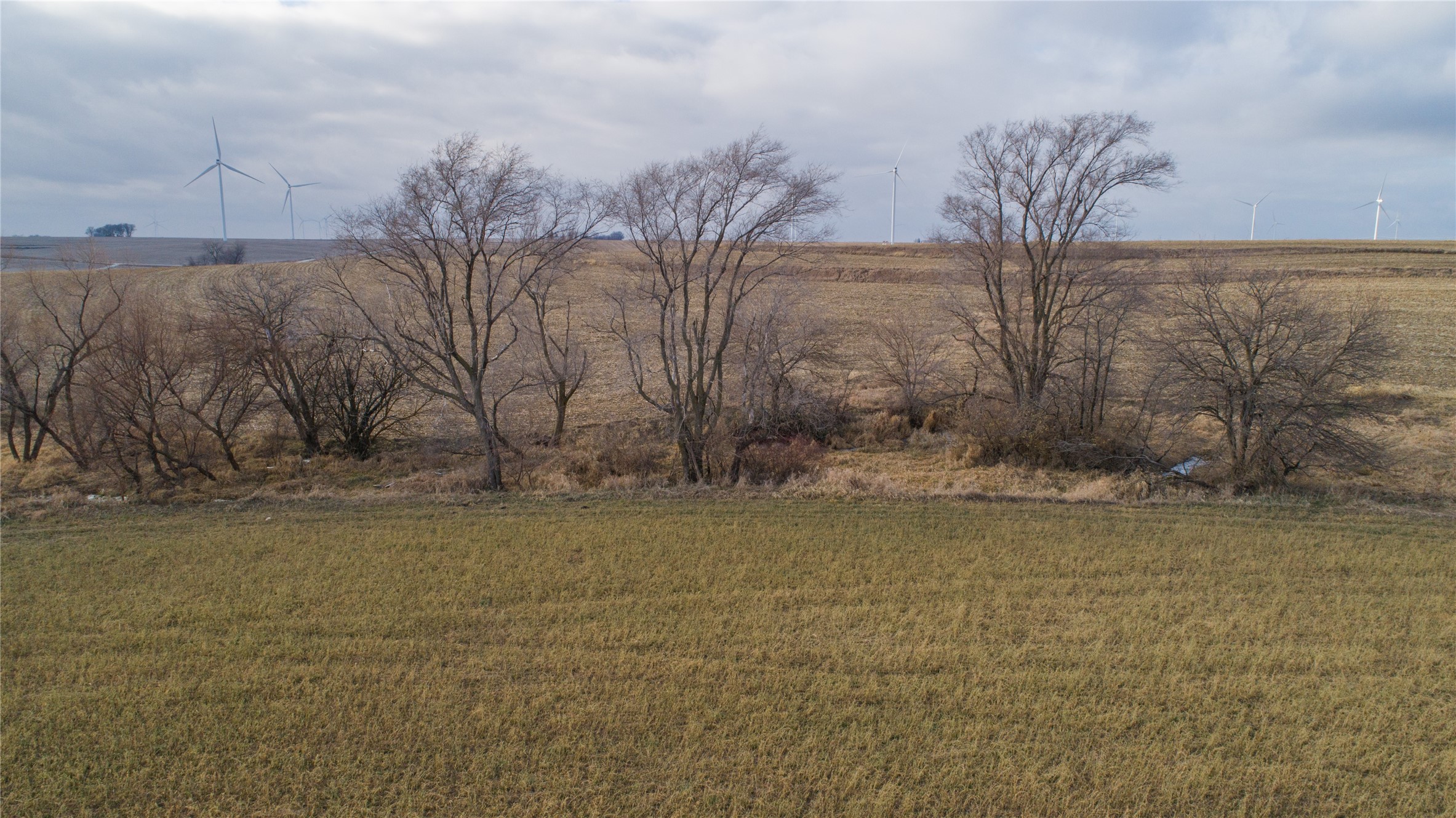 000 140th Street, Stuart, Iowa image 10