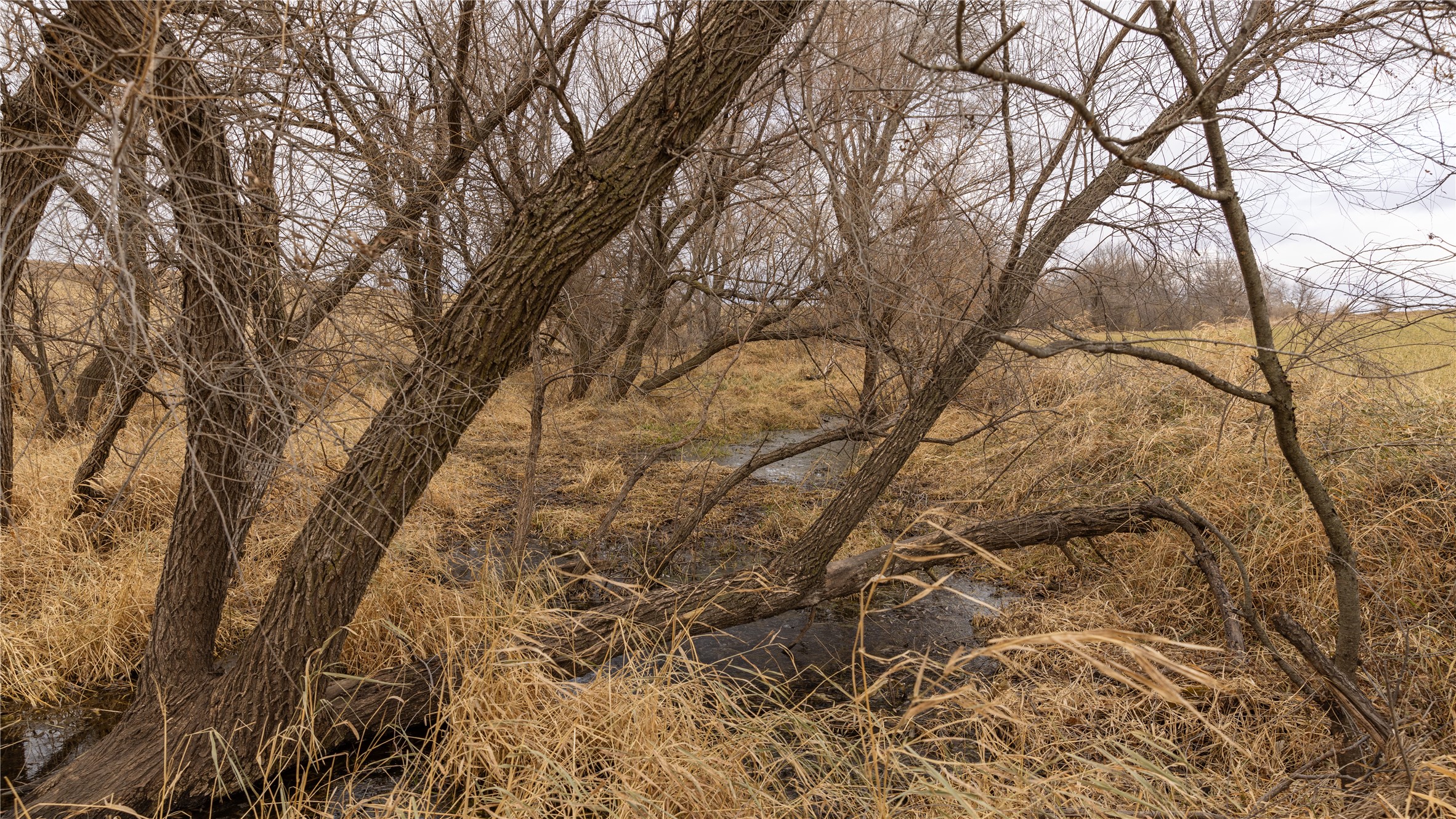 000 140th Street, Stuart, Iowa image 30