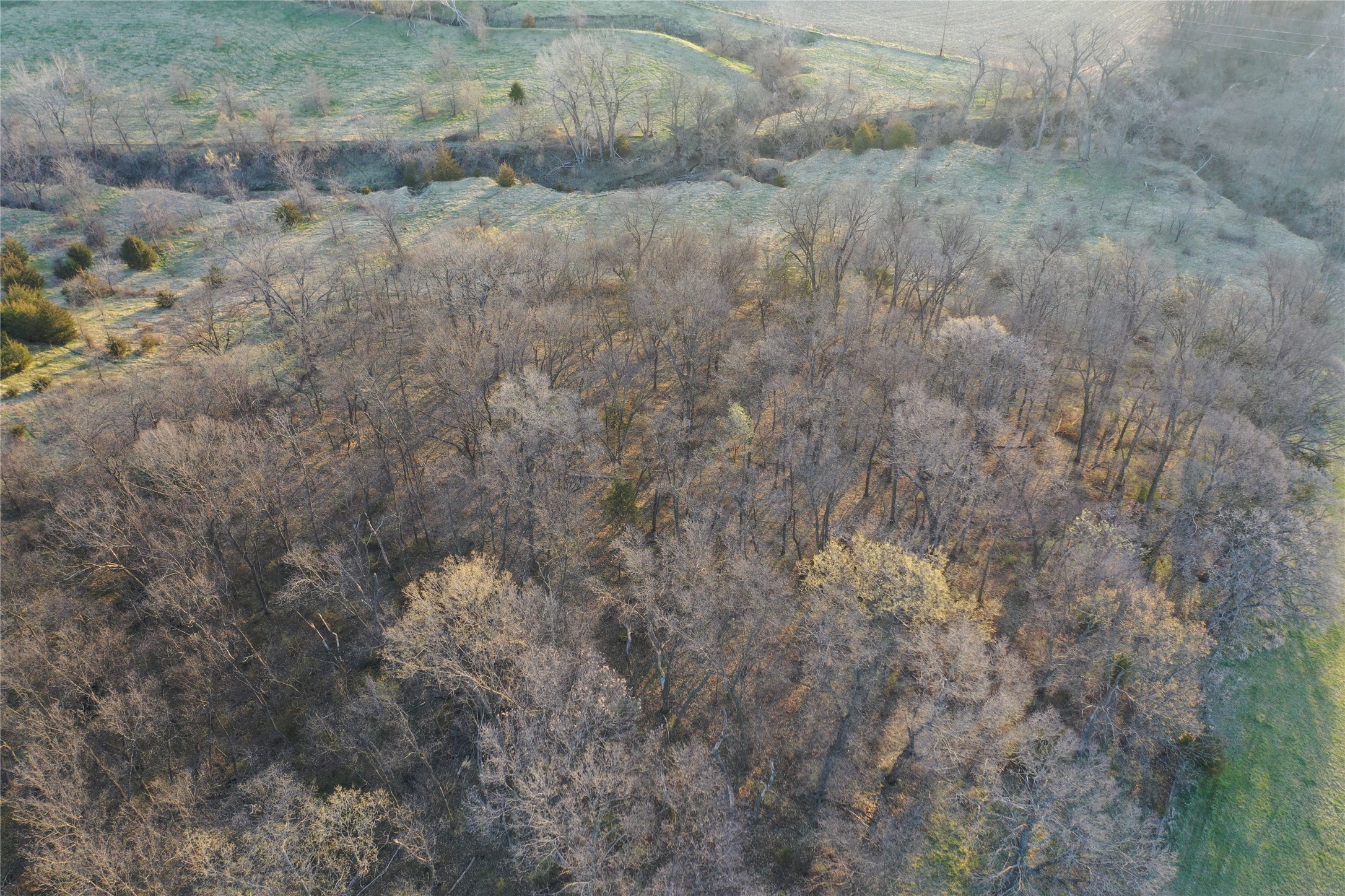 00 108th Avenue, New Virginia, Iowa image 12