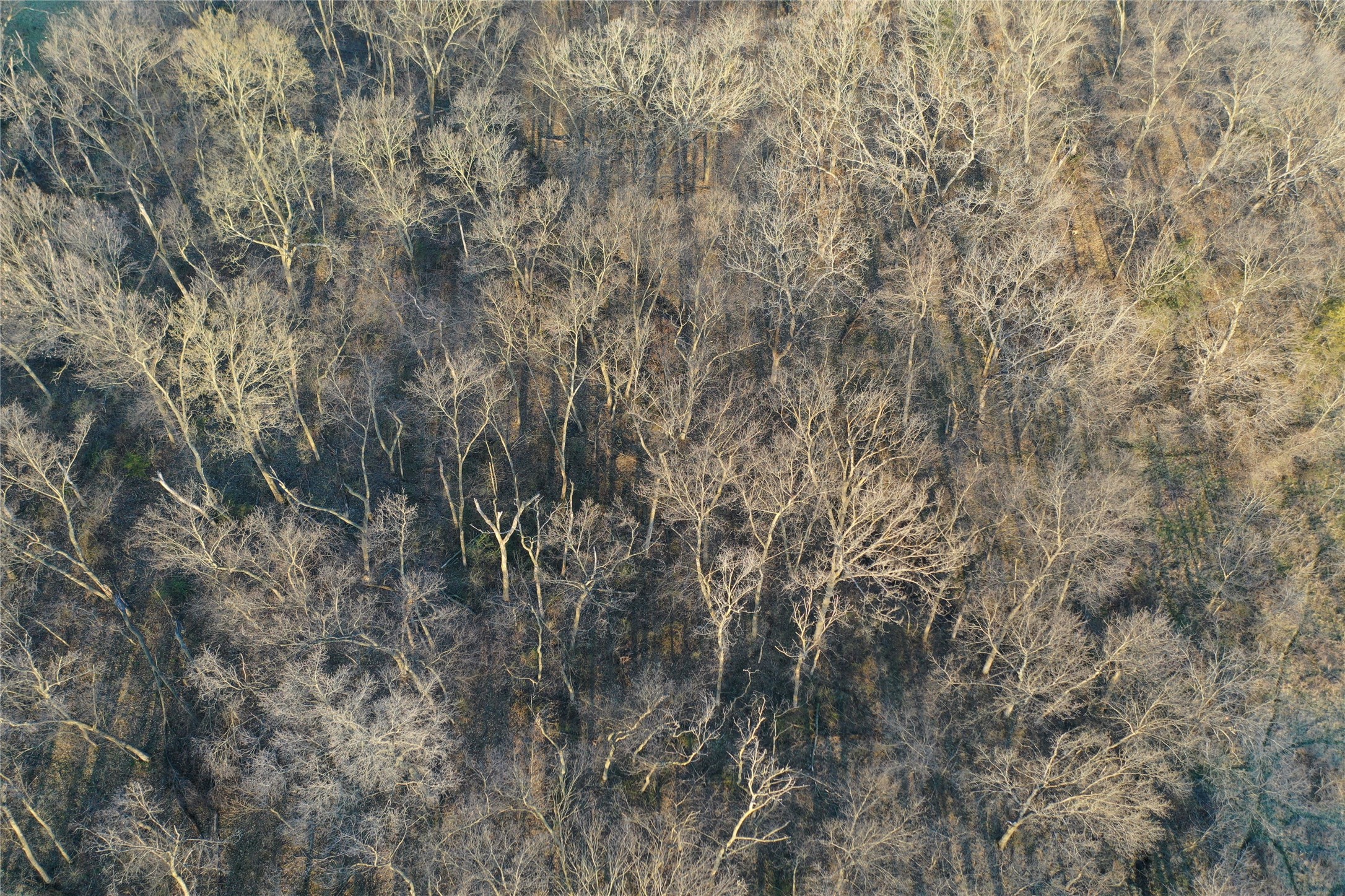 00 108th Avenue, New Virginia, Iowa image 18