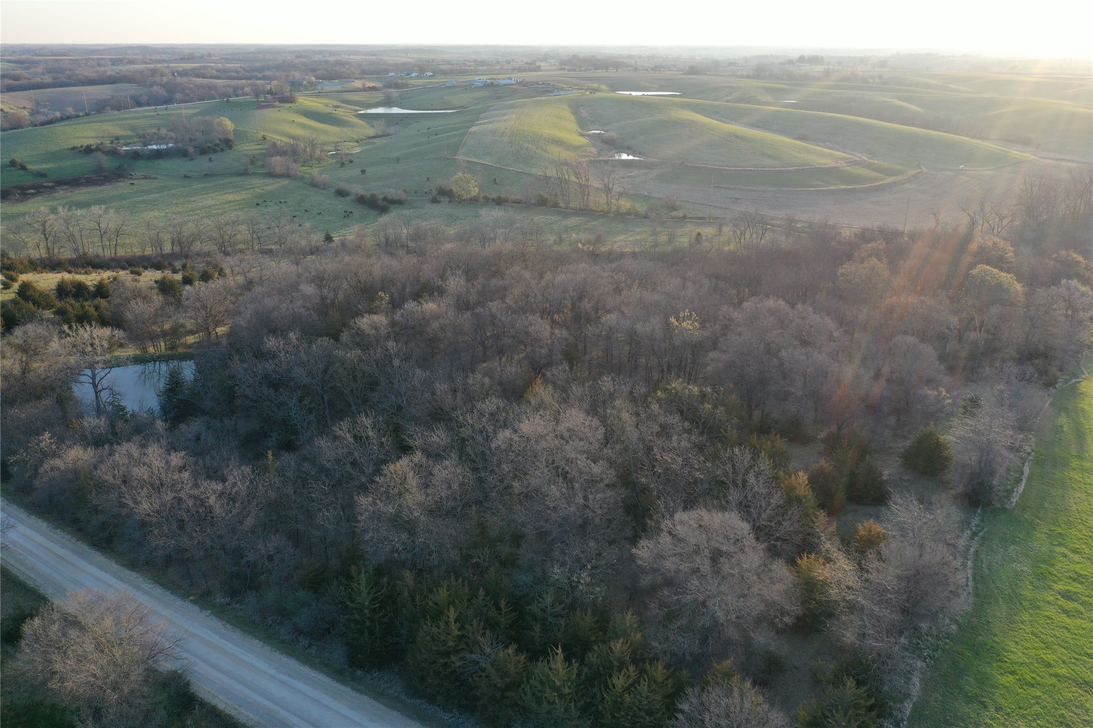 00 108th Avenue, New Virginia, Iowa image 15