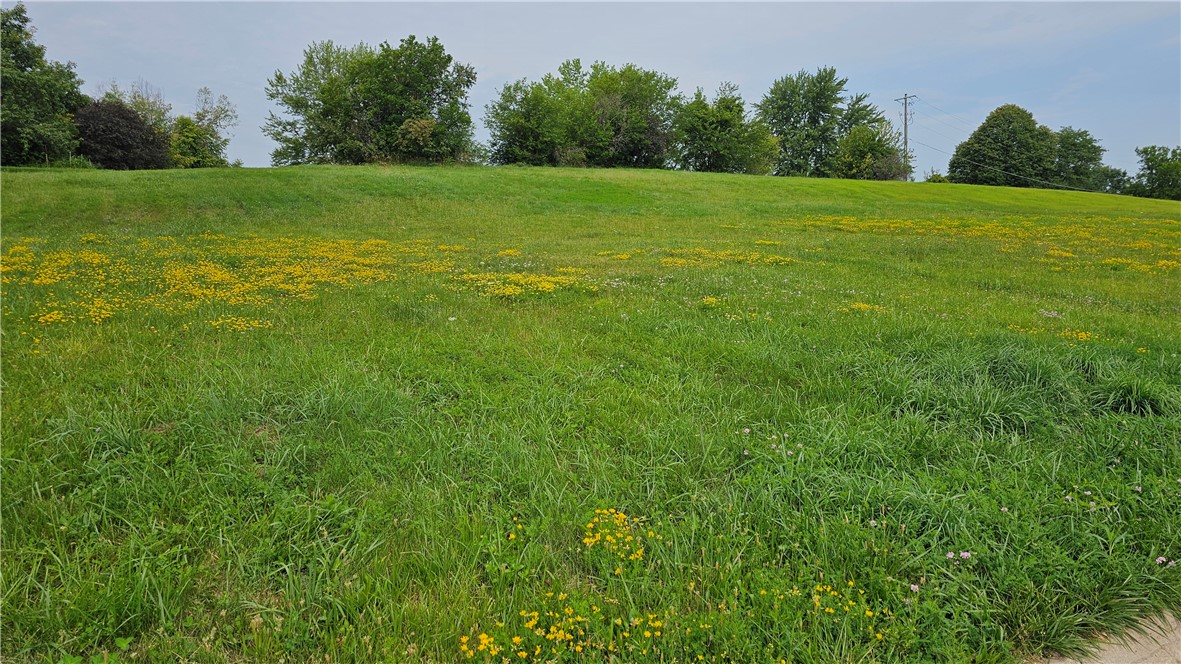 1005 E 18th Street, Newton, Iowa image 1