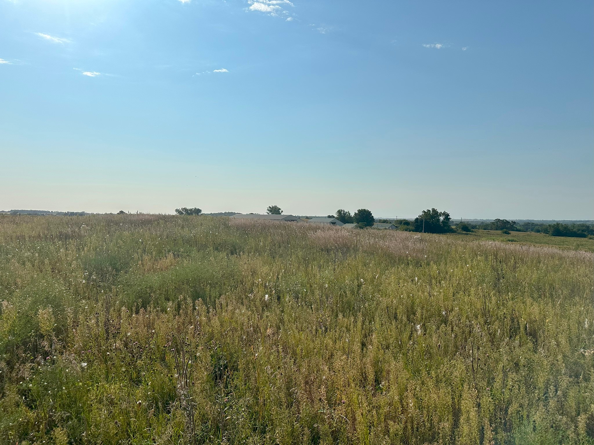 5217 Fairview Lane, Mingo, Iowa image 9