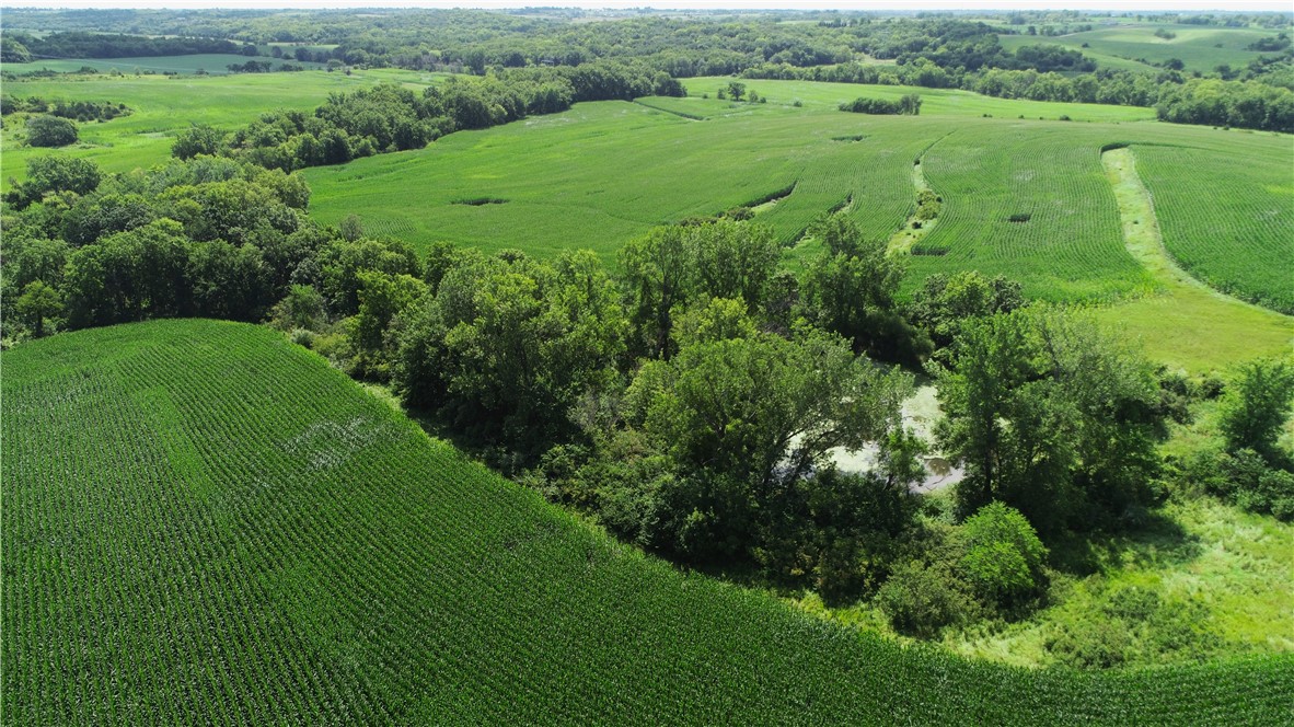 001 Badger Creek Road, Van Meter, Iowa image 29