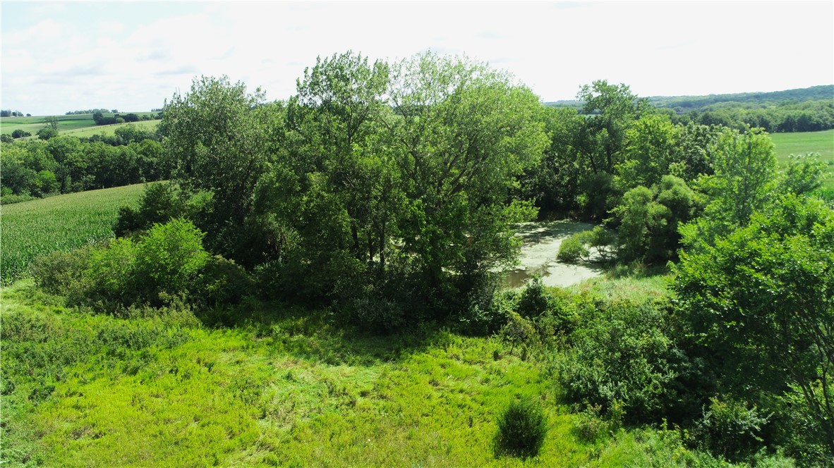 001 Badger Creek Road, Van Meter, Iowa image 33