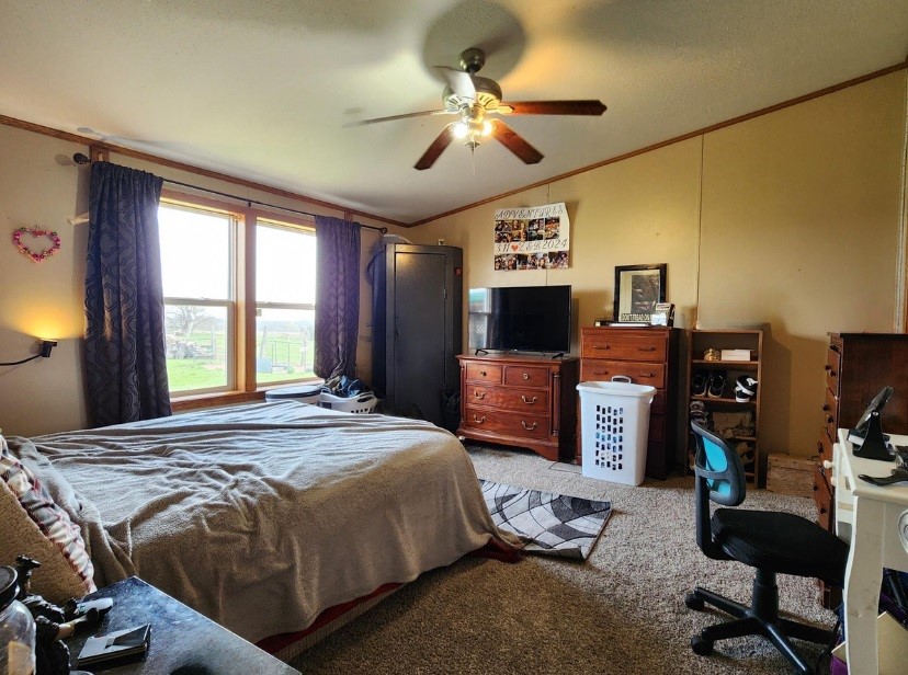21393 415th Street, Chariton, Iowa image 24