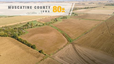 Vacant Land For Sale - 00 Verde Avenue<br/> Muscatine County, Durant, IA 52747
