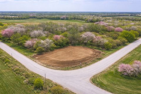 Vacant Land For Sale - 33234 Old Portland Road<br/> Adel, IA 50003