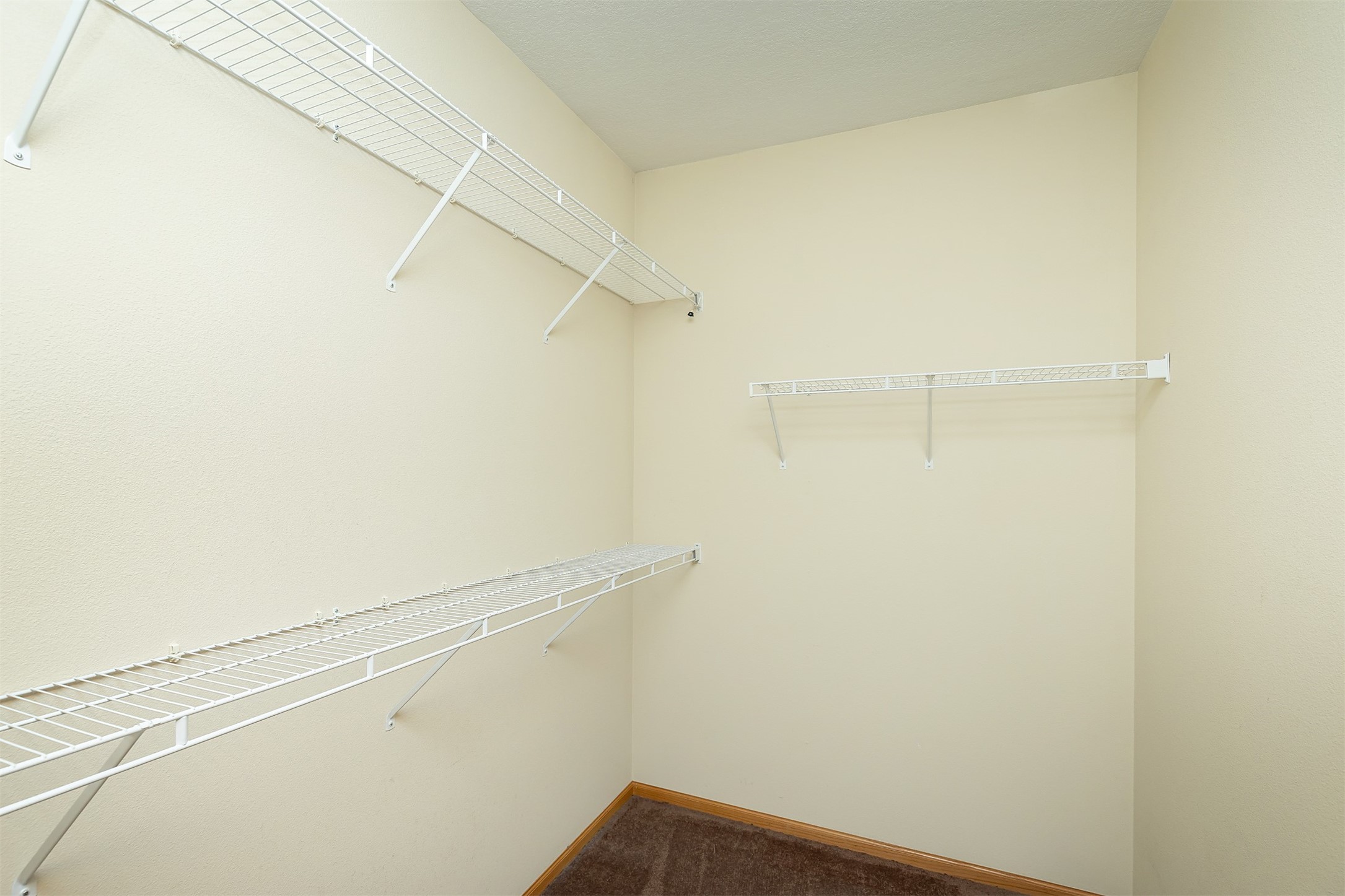 3914 NE Trilein Drive, Ankeny, Iowa image 23