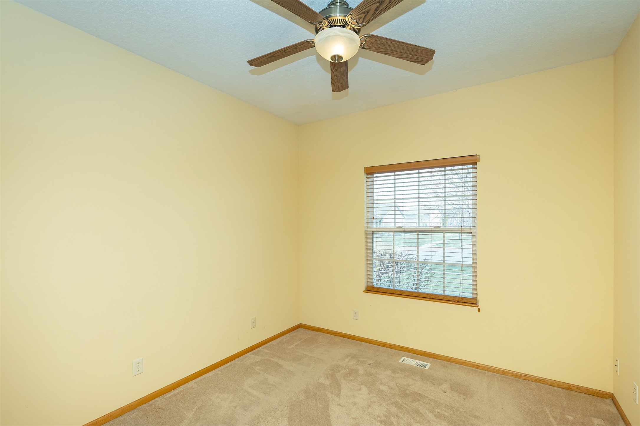 3914 NE Trilein Drive, Ankeny, Iowa image 24