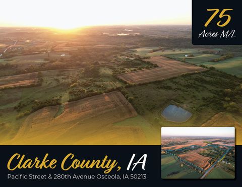 Vacant Land For Sale - 00 Pacific Street<br/> Osceola, IA 50213