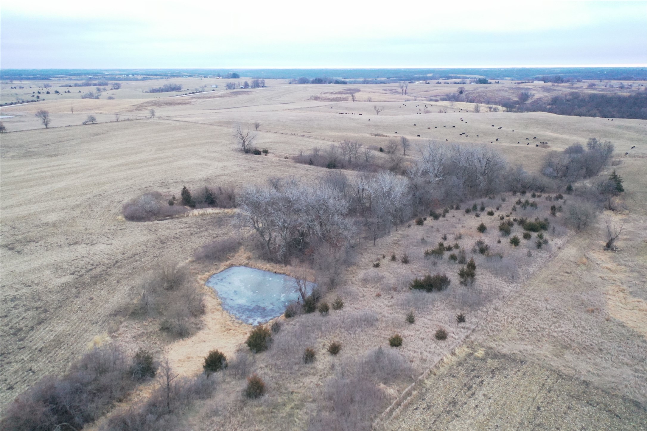 8228 Shawnee Avenue, Reasnor, Iowa image 15