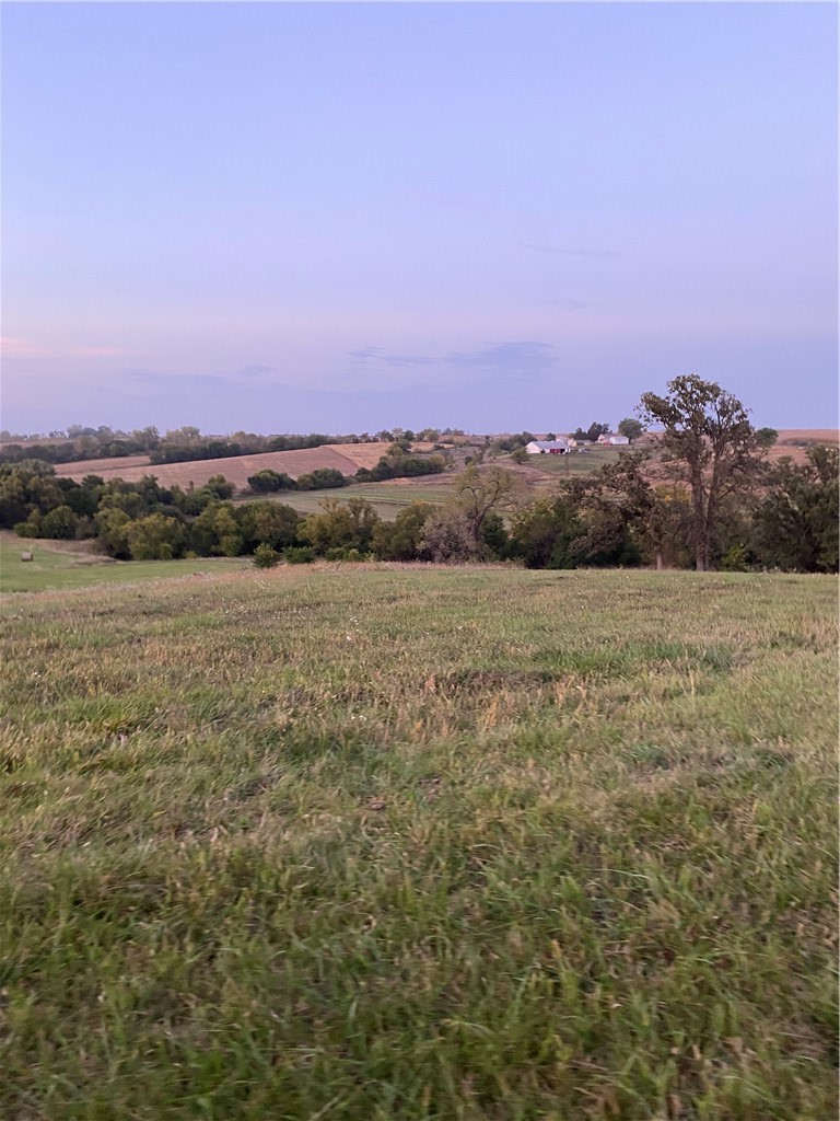 Lot 1 Polk Street, Milo, Iowa image 10