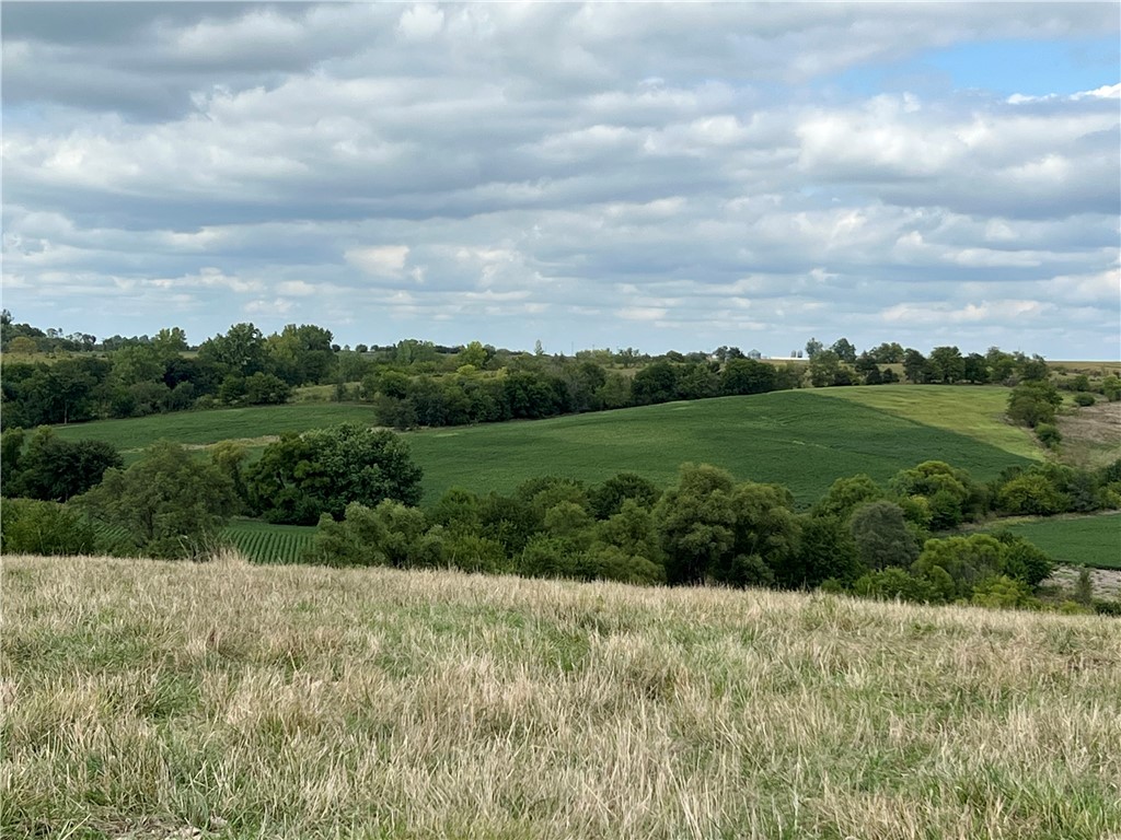 Lot 1 Polk Street, Milo, Iowa image 6