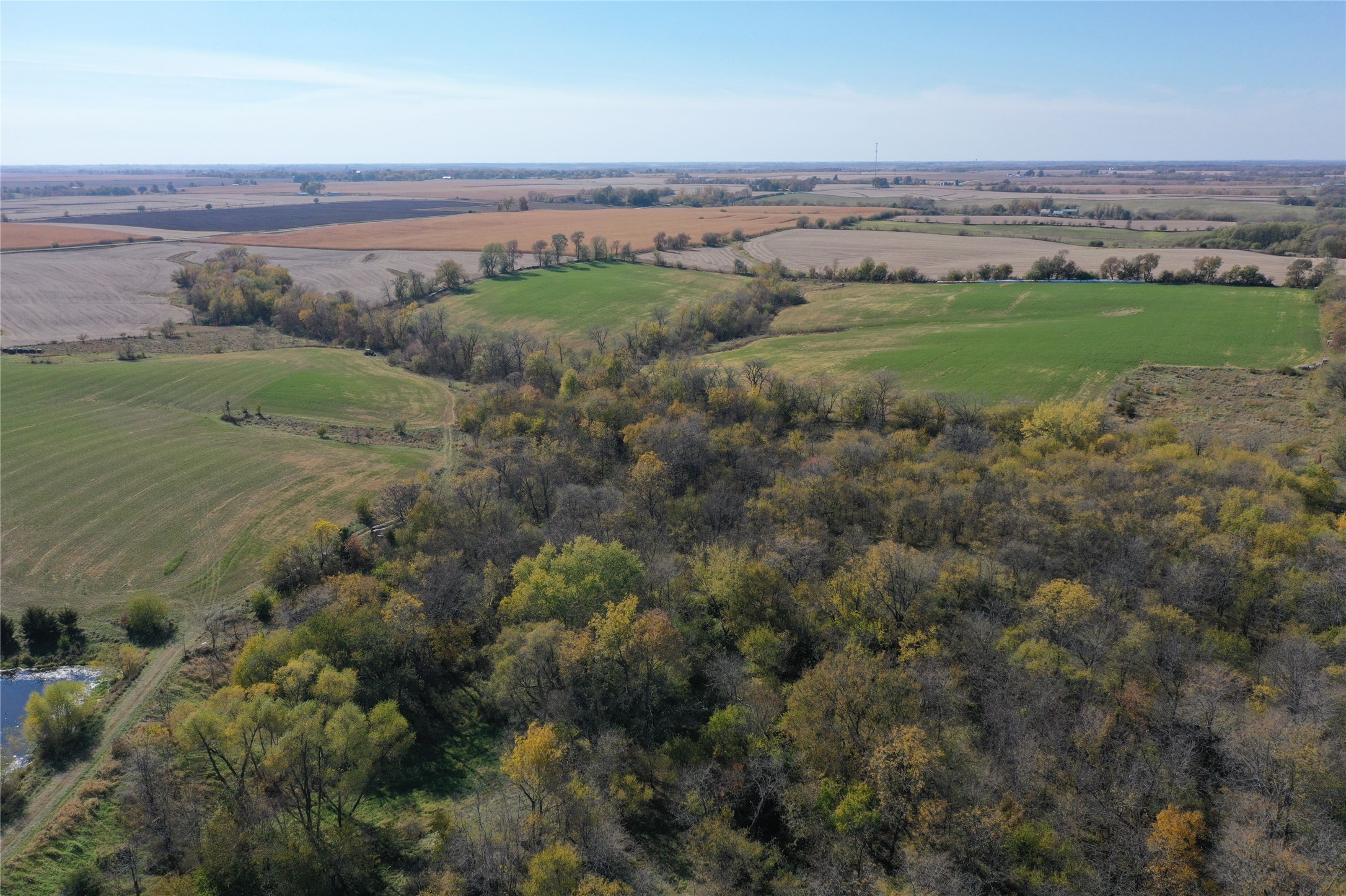 00 210th Avenue, Milo, Iowa image 11