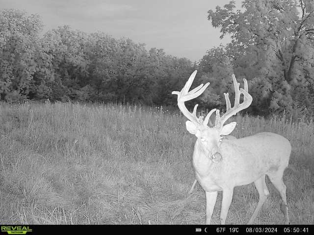 2 Hogback Bridge Road, Earlham, Iowa image 17