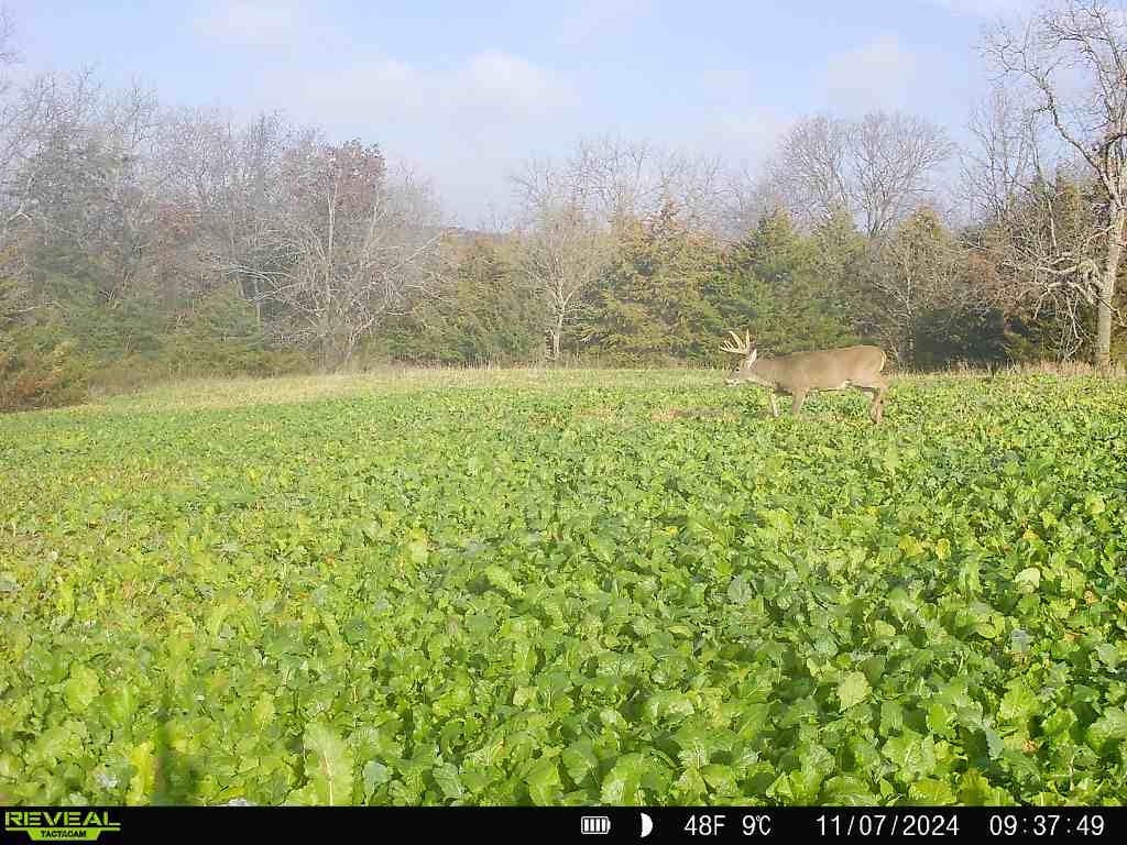 2 Hogback Bridge Road, Earlham, Iowa image 19
