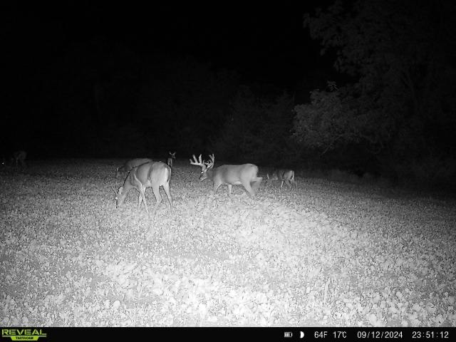 2 Hogback Bridge Road, Earlham, Iowa image 16