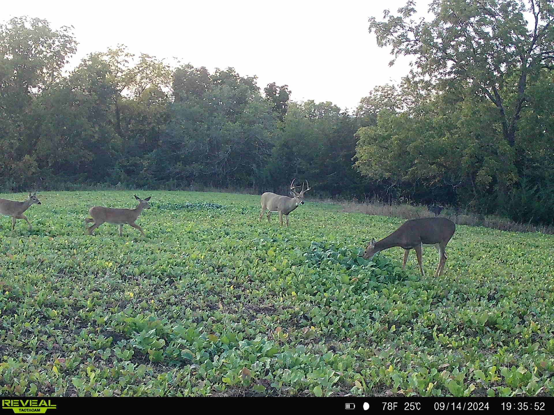 2 Hogback Bridge Road, Earlham, Iowa image 18