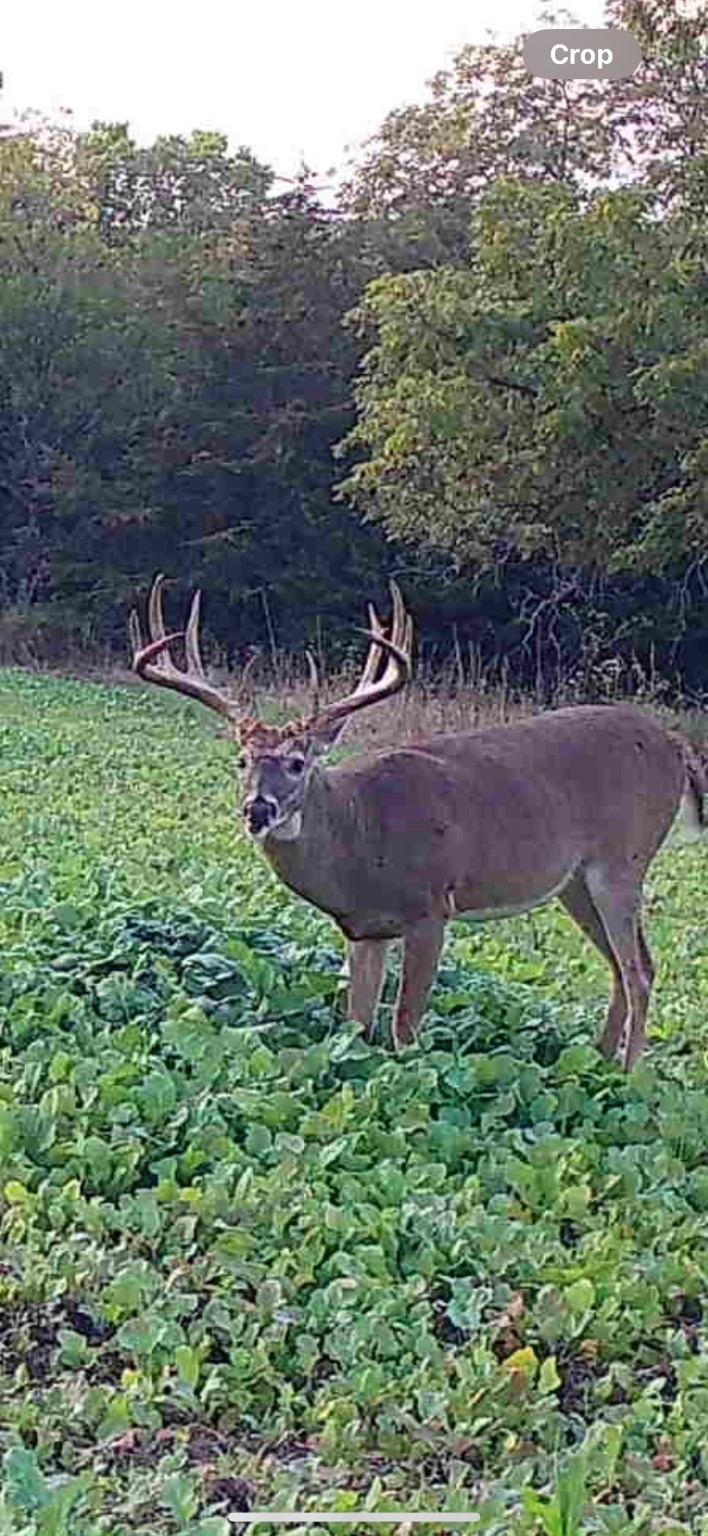 2 Hogback Bridge Road, Earlham, Iowa image 20