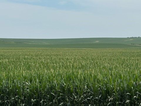 Vacant Land For Sale - E 152nd Street<br/> Jasper County, Lynnville, IA 50153