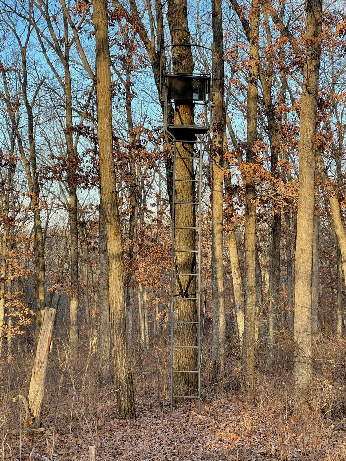 80+/- Acres On 250th Avenue, New Virginia, Iowa image 7