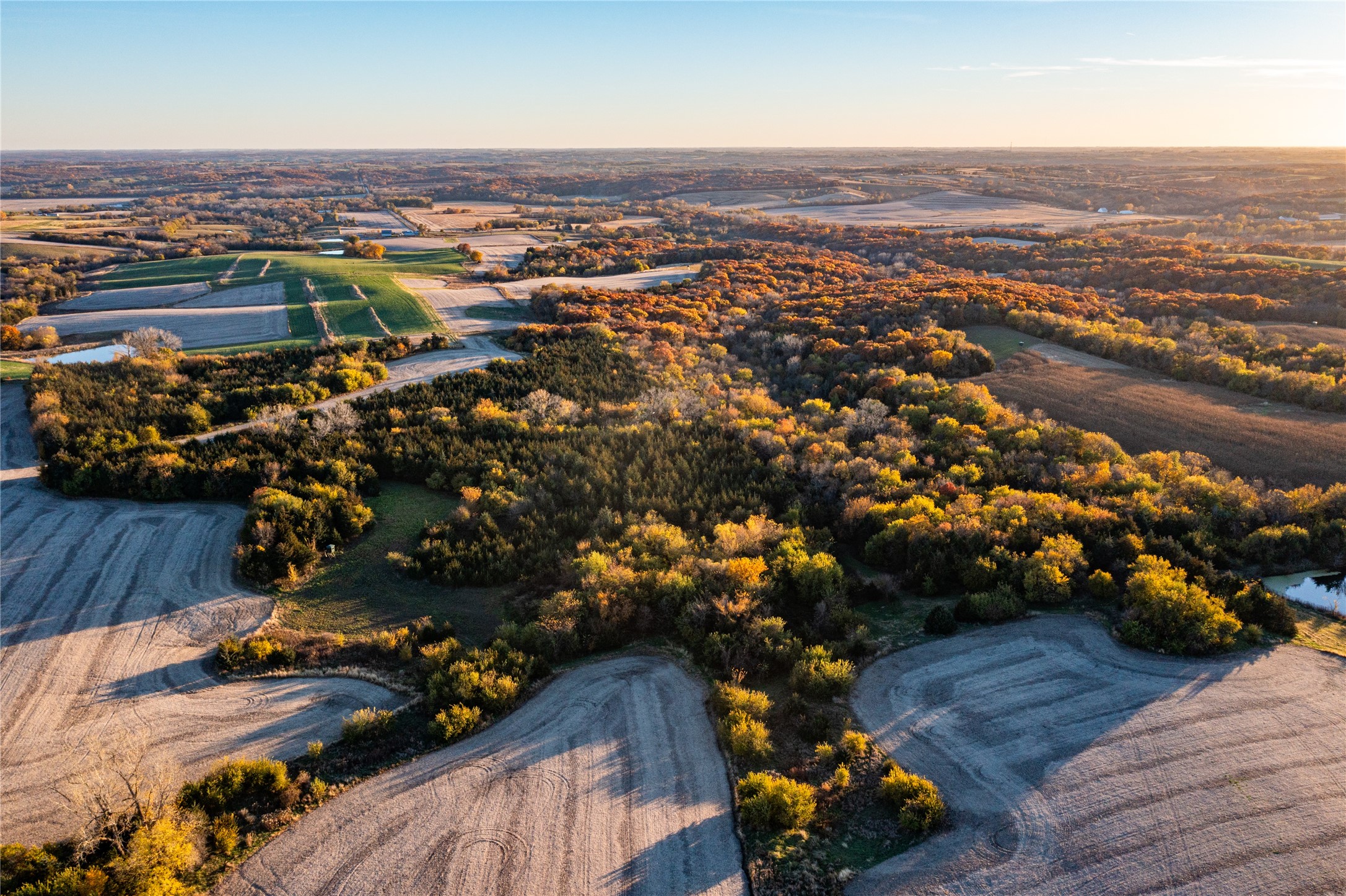 2060 Umbrella Avenue