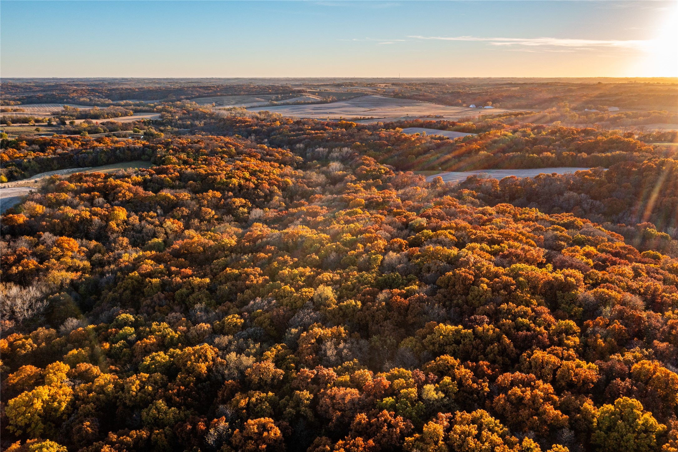 2060 Umbrella Avenue