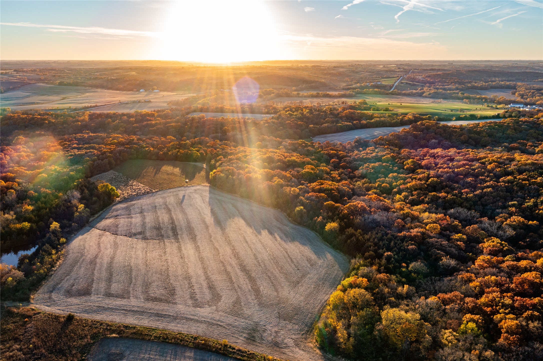2060 Umbrella Avenue