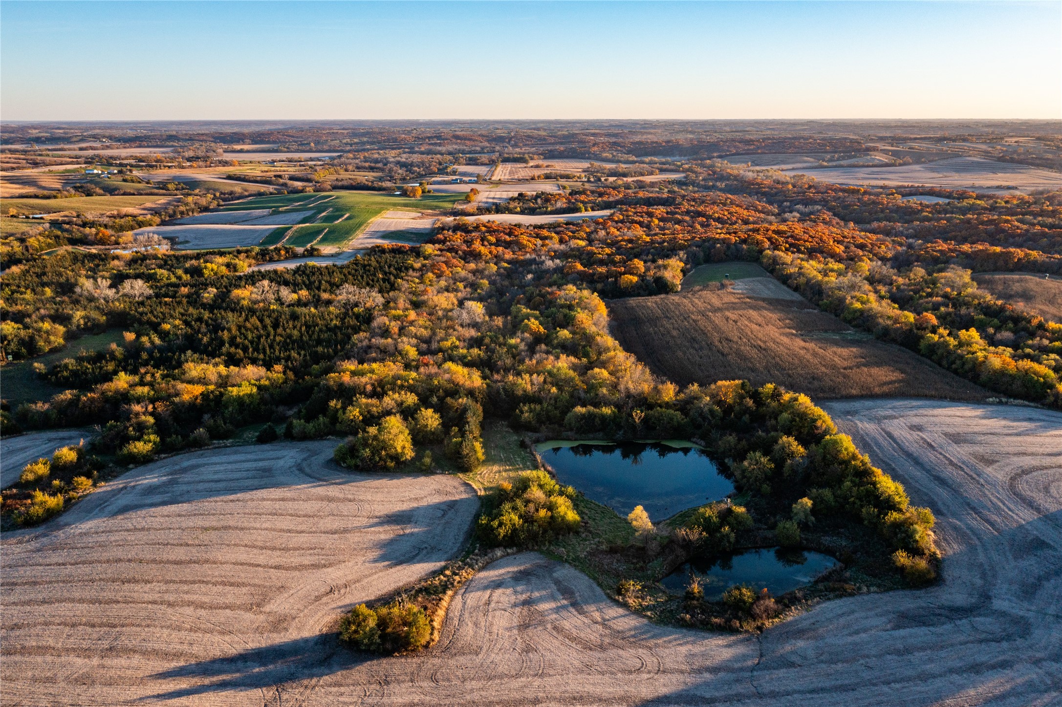 2060 Umbrella Avenue