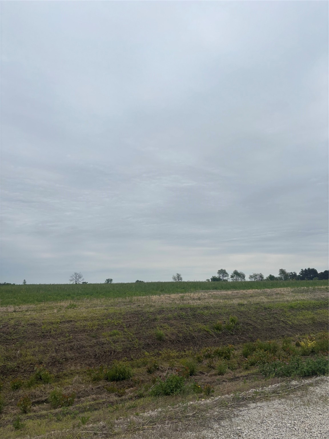 Lot 3 Warren Wonder Estates, Indianola, Iowa image 3