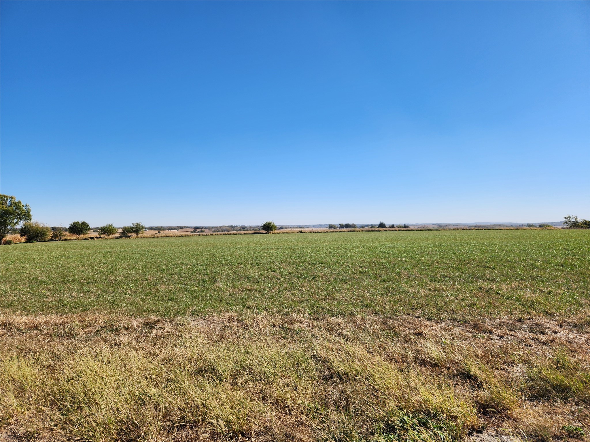 Lot #1 T15 Highway, Knoxville, Iowa image 1